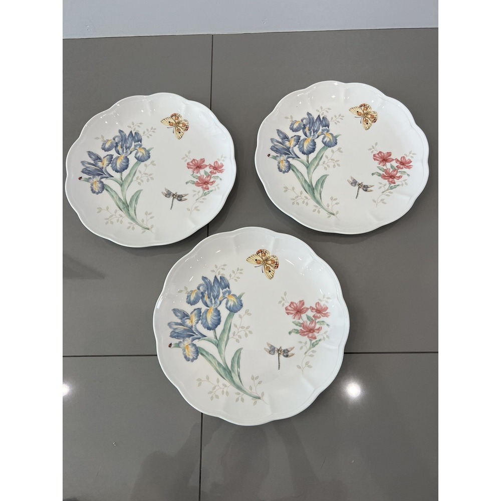 Lenox Meadow Orange Sulphuric 10 3/4 inch Dinner Plates- Set of 4
